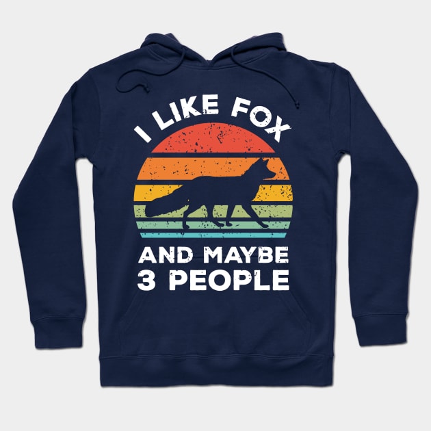 I Like Fox and Maybe 3 People, Retro Vintage Sunset with Style Old Grainy Grunge Texture Hoodie by Ardhsells